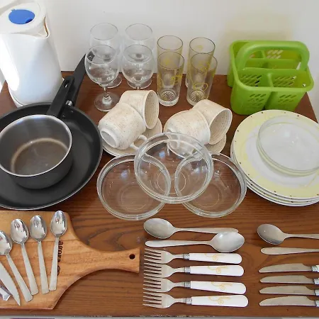 Anemone Blue Seaside