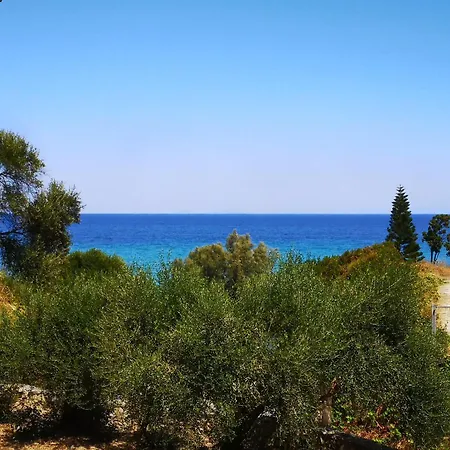 Anemone Blue Seaside Zákynthos by