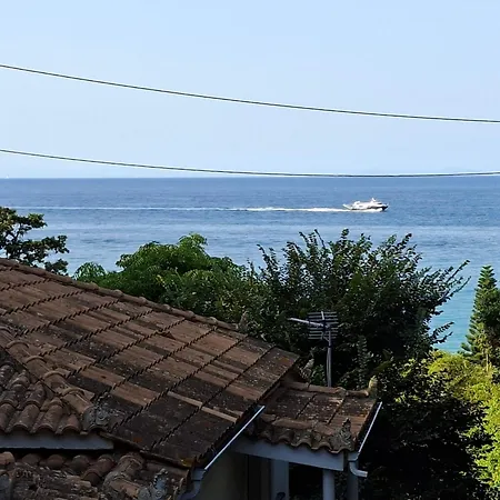 Anemone Blue Seaside * Zákinthosz