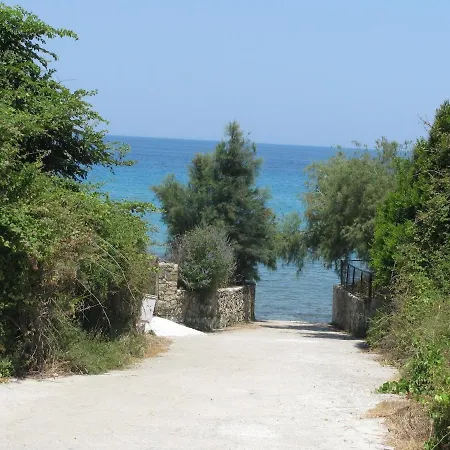 Anemone Blue Seaside