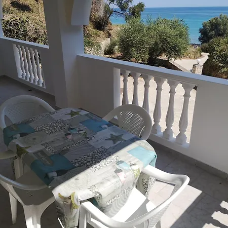 Anemone Blue Seaside * 자킨토스 타운